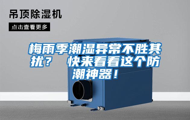 梅雨季潮濕異常不勝其擾？ 快來看看這個防潮神器！