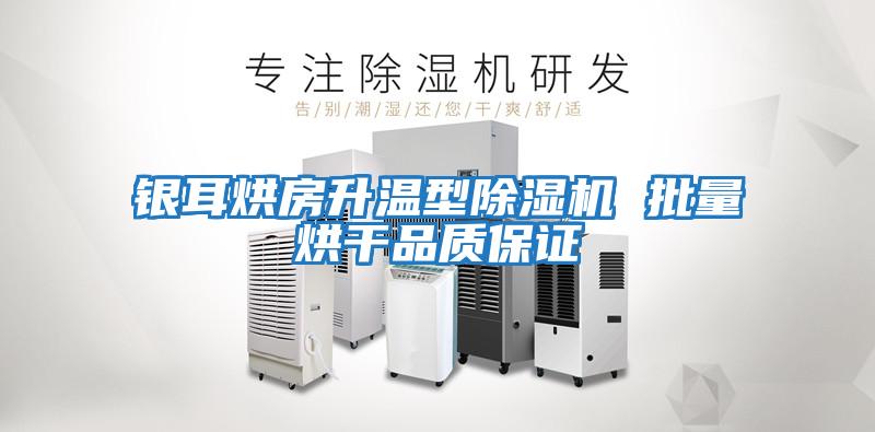 銀耳烘房升溫型除濕機 批量烘干品質保證