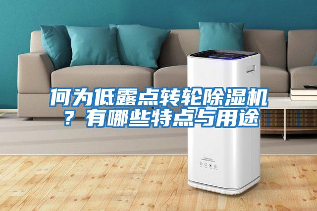 何為低露點轉輪除濕機？有哪些特點與用途