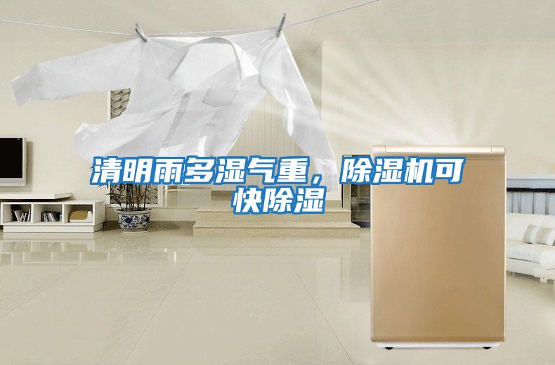 清明雨多濕氣重，除濕機可快除濕