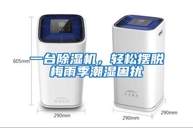 一臺除濕機(jī)，輕松擺脫梅雨季潮濕困擾