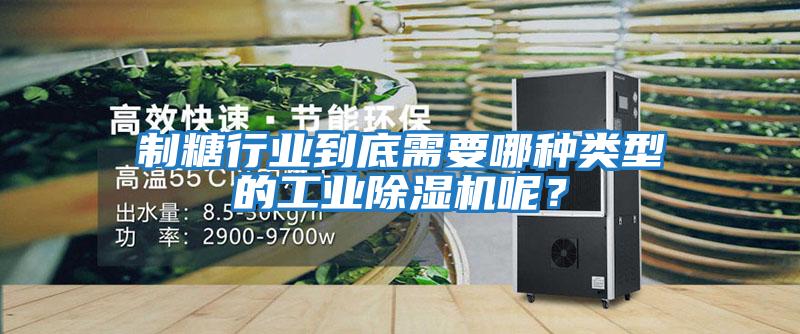 制糖行業到底需要哪種類型的工業除濕機呢？