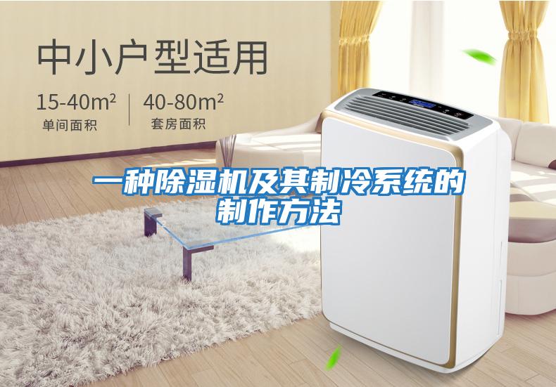 一種除濕機及其制冷系統的制作方法