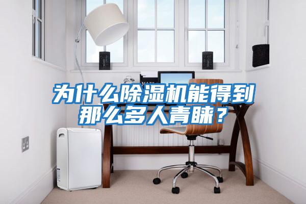 為什么除濕機能得到那么多人青睞？