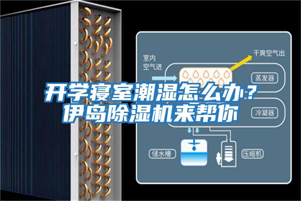 開學(xué)寢室潮濕怎么辦？伊島除濕機來幫你