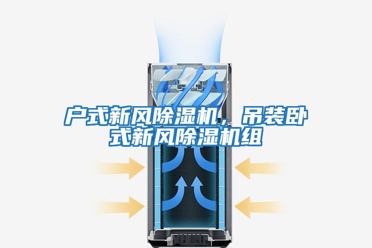 戶式新風除濕機，吊裝臥式新風除濕機組