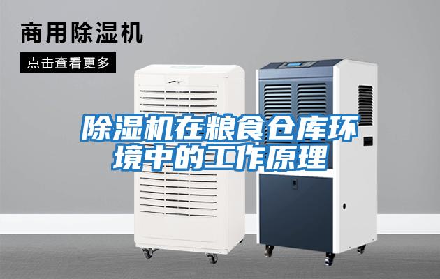 除濕機在糧食倉庫環境中的工作原理