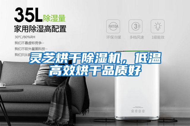 靈芝烘干除濕機，低溫高效烘干品質好