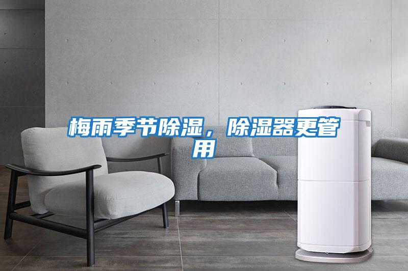 梅雨季節除濕，除濕器更管用