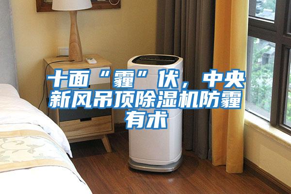 十面“霾”伏，中央新風吊頂除濕機防霾有術