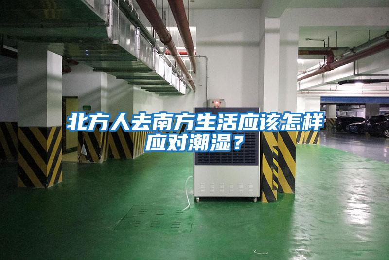 北方人去南方生活應該怎樣應對潮濕？