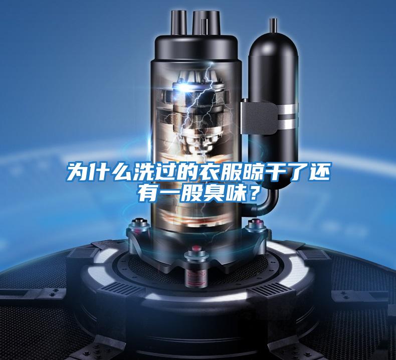 為什么洗過的衣服晾干了還有一股臭味？