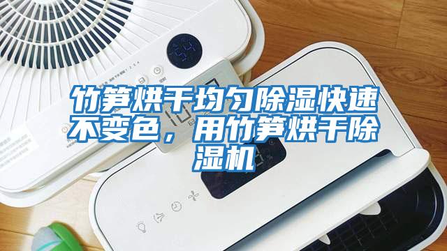 竹筍烘干均勻除濕快速不變色，用竹筍烘干除濕機