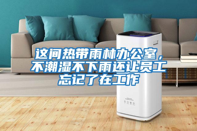 這間熱帶雨林辦公室，不潮濕不下雨還讓員工忘記了在工作