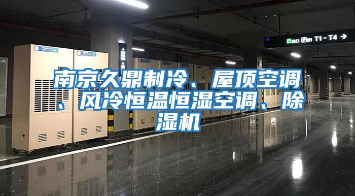 南京久鼎制冷、屋頂空調、風冷恒溫恒濕空調、除濕機