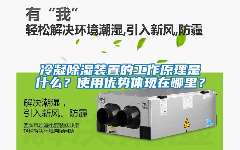 冷凝除濕裝置的工作原理是什么？使用優勢體現在哪里？