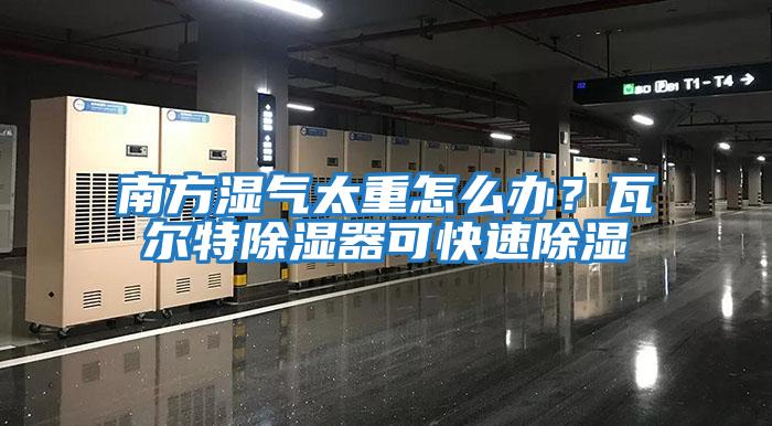 南方濕氣太重怎么辦？瓦爾特除濕器可快速除濕