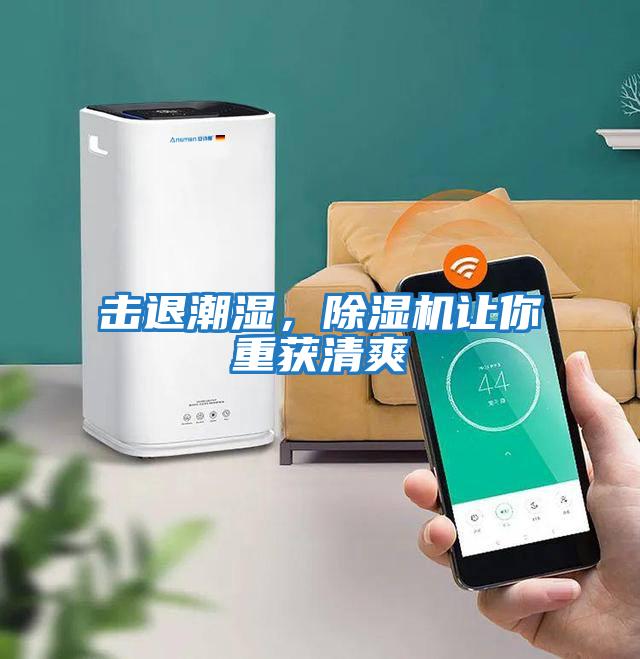 擊退潮濕，除濕機(jī)讓你重獲清爽