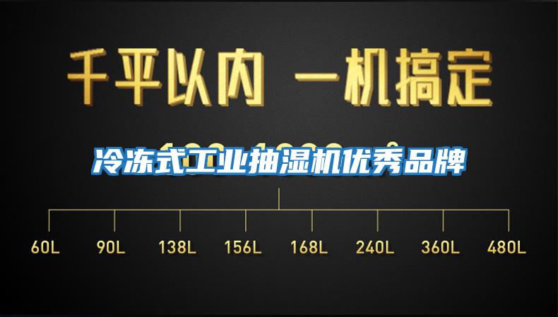 冷凍式工業抽濕機優秀品牌