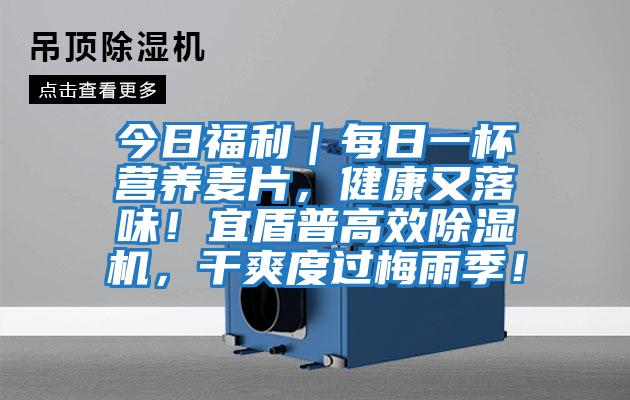 今日福利｜每日一杯營養麥片，健康又落味！宜盾普高效除濕機，干爽度過梅雨季！