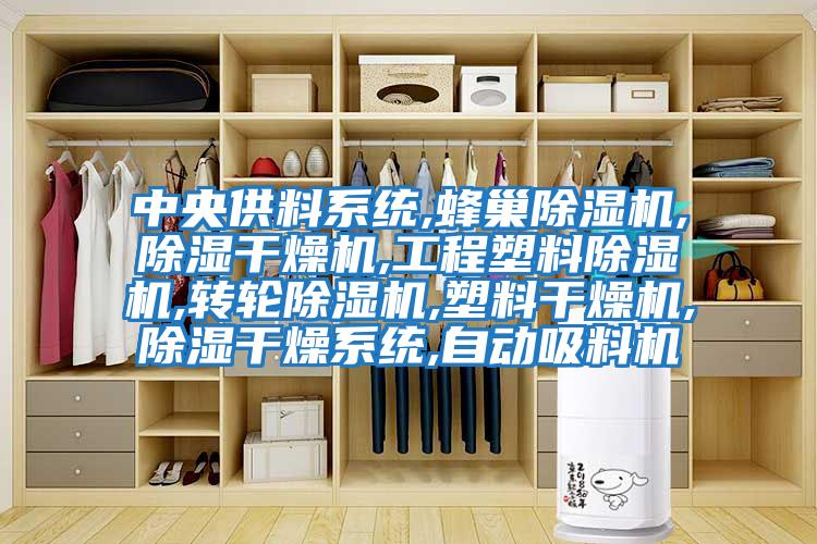 中央供料系統,蜂巢除濕機,除濕干燥機,工程塑料除濕機,轉輪除濕機,塑料干燥機,除濕干燥系統,自動吸料機