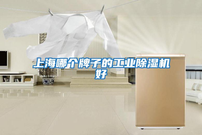 上海哪個牌子的工業除濕機好