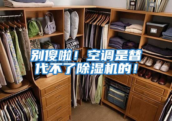 別傻啦！空調是替代不了除濕機的！