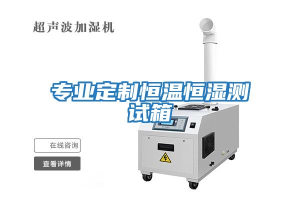 專業定制恒溫恒濕測試箱
