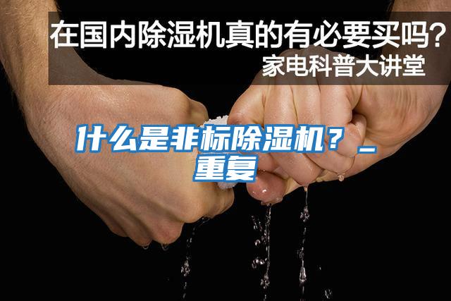 什么是非標除濕機？_重復