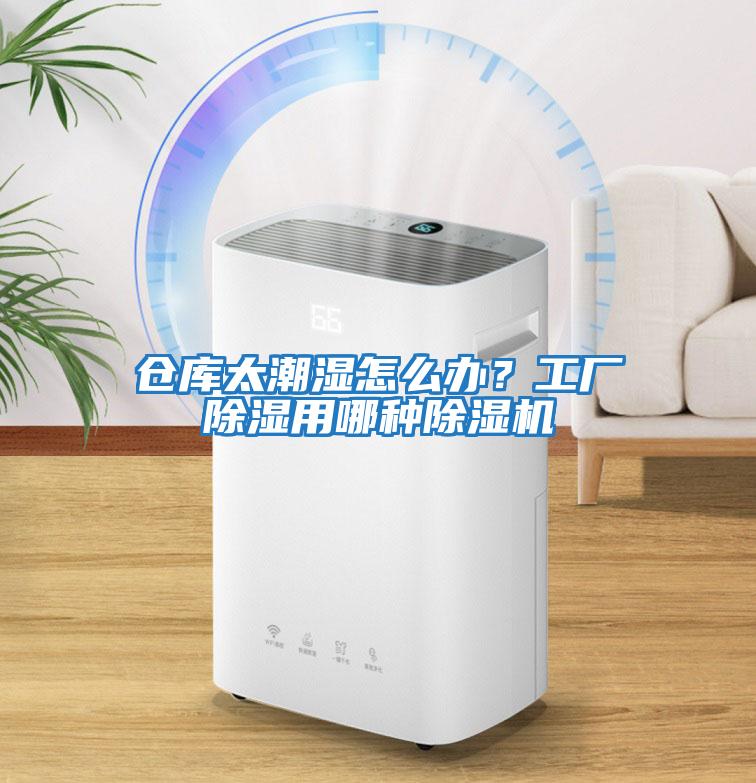 倉庫太潮濕怎么辦？工廠除濕用哪種除濕機(jī)