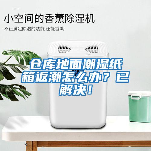 倉庫地面潮濕紙箱返潮怎么辦？已解決！