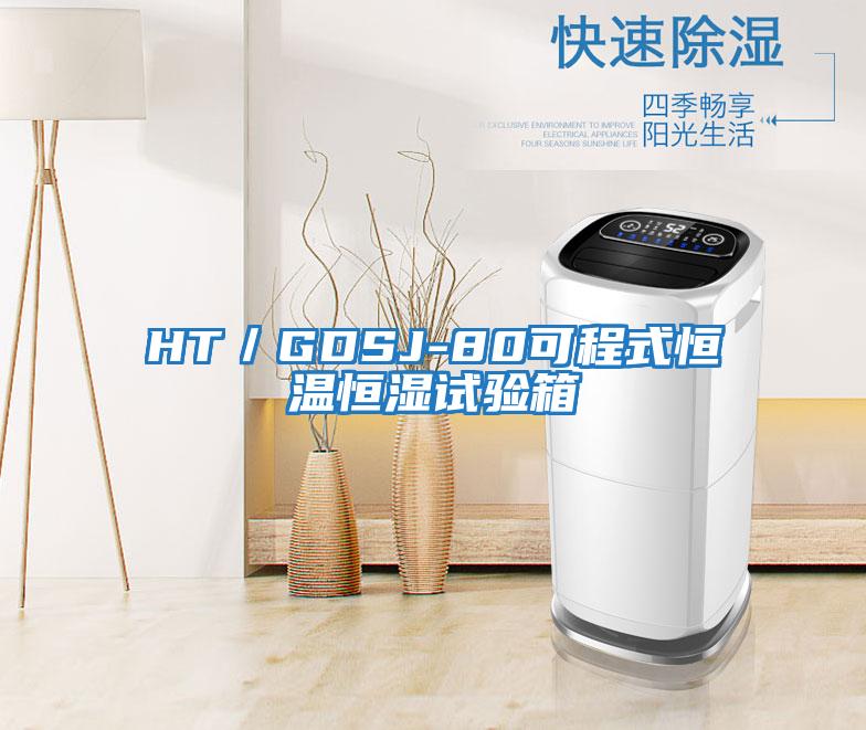 HT／GDSJ-80可程式恒溫恒濕試驗箱