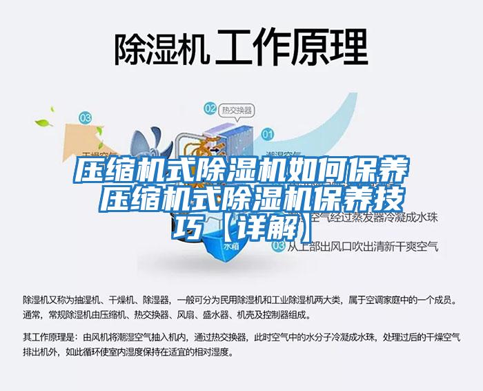 壓縮機式除濕機如何保養 壓縮機式除濕機保養技巧【詳解】