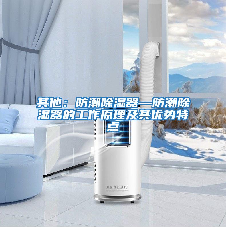 其他：防潮除濕器—防潮除濕器的工作原理及其優(yōu)勢(shì)特點(diǎn)