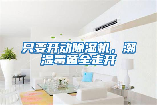 只要開動除濕機，潮濕霉菌全走開