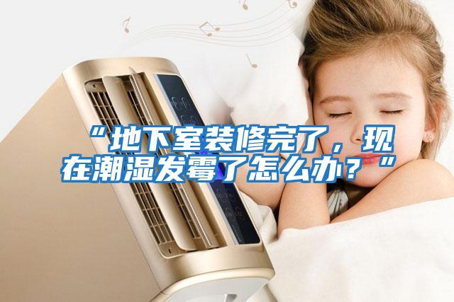 “地下室裝修完了，現在潮濕發霉了怎么辦？”