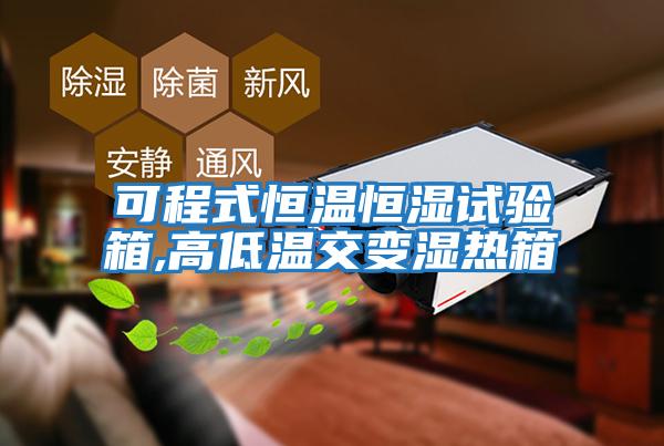 可程式恒溫恒濕試驗箱,高低溫交變濕熱箱