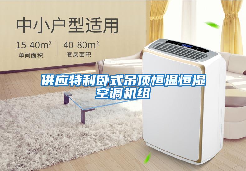供應(yīng)特利臥式吊頂恒溫恒濕空調(diào)機組