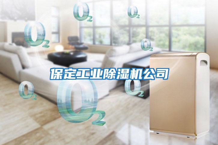 保定工業除濕機公司