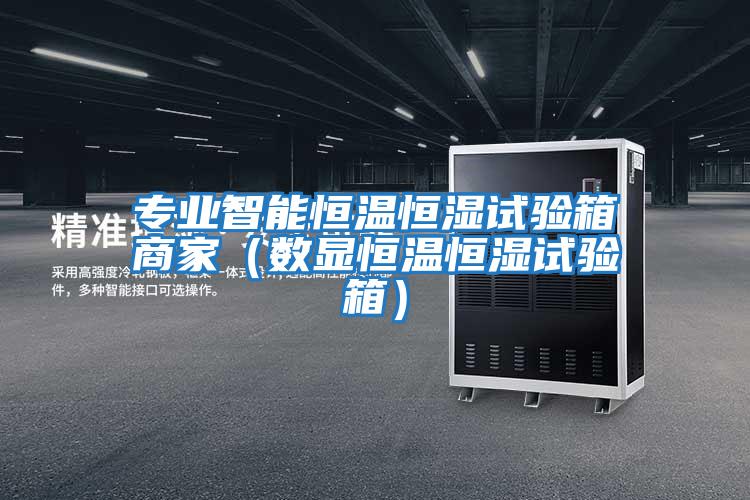 專業智能恒溫恒濕試驗箱商家（數顯恒溫恒濕試驗箱）