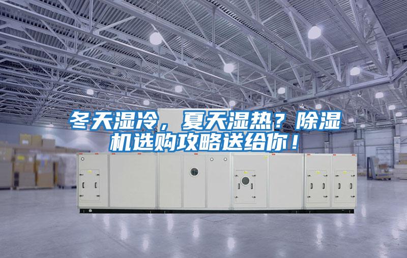 冬天濕冷，夏天濕熱？除濕機選購攻略送給你！