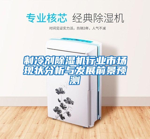 制冷劑除濕機行業市場現狀分析與發展前景預測
