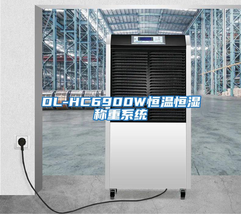 DL-HC6900W恒溫恒濕稱重系統