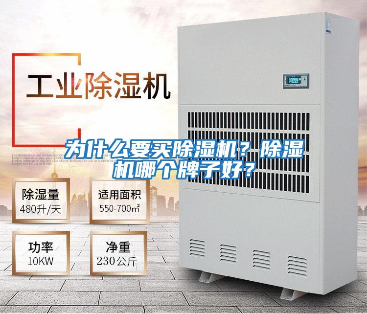 為什么要買除濕機？除濕機哪個牌子好？