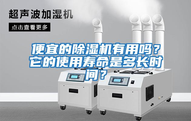 便宜的除濕機有用嗎？它的使用壽命是多長時間？