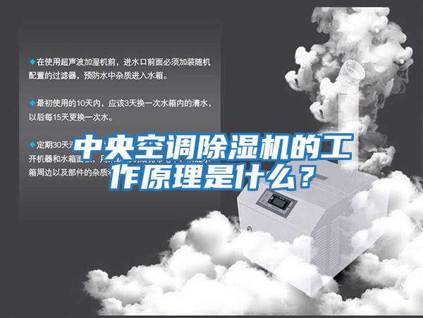 中央空調除濕機的工作原理是什么？