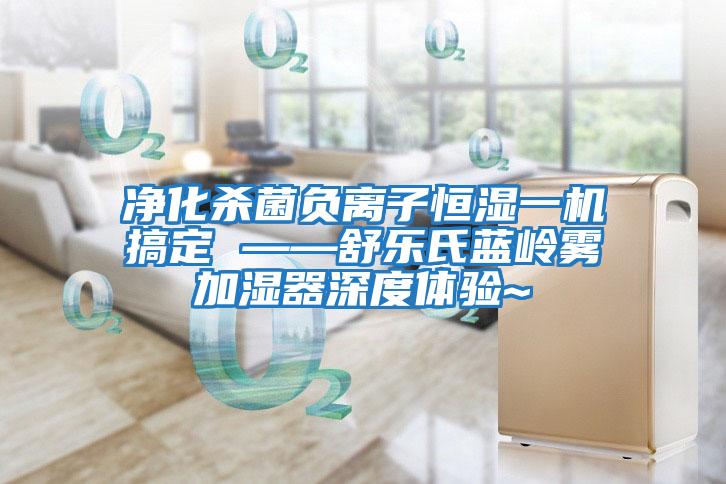 凈化殺菌負離子恒濕一機搞定 ——舒樂氏藍嶺霧加濕器深度體驗~