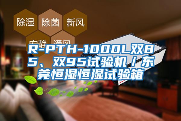 R-PTH-1000L雙85、雙95試驗(yàn)機(jī)／東莞恒濕恒濕試驗(yàn)箱