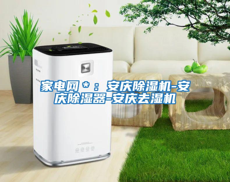 家電網＊：安慶除濕機-安慶除濕器-安慶去濕機