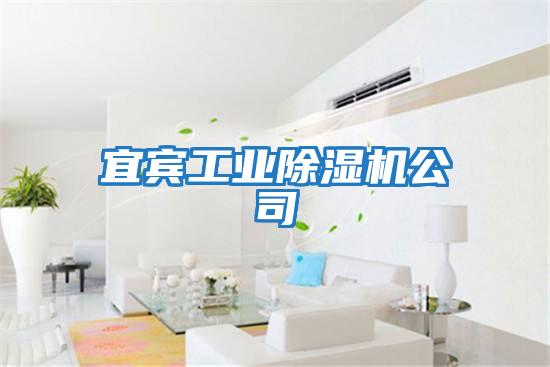 宜賓工業除濕機公司